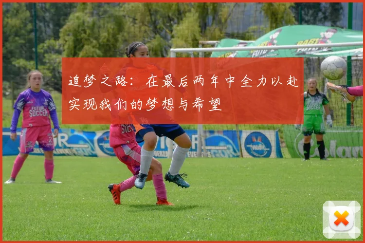 追梦之路：在最后两年中全力以赴实现我们的梦想与希望