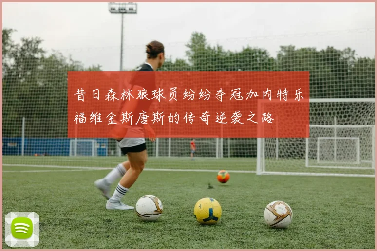 昔日森林狼球员纷纷夺冠加内特乐福维金斯唐斯的传奇逆袭之路