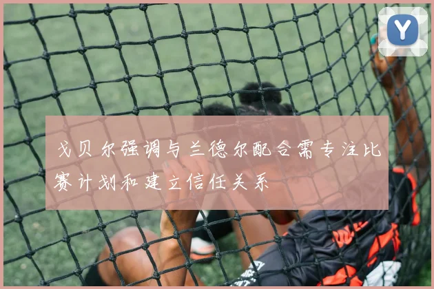 戈贝尔强调与兰德尔配合需专注比赛计划和建立信任关系